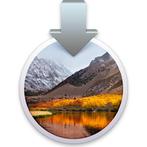 Mac OS High Sierra Installer USB stick, Verzenden, Nieuw, MacOS