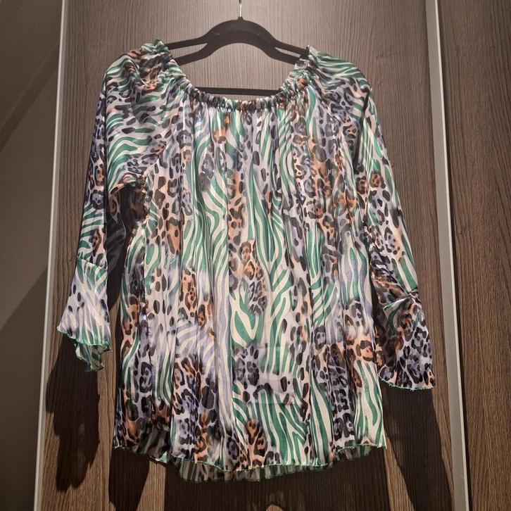 Dames blouse, Kleding | Dames, Blouses en Tunieken, Zo goed als nieuw, Maat 46/48 (XL) of groter, Overige kleuren, Ophalen of Verzenden