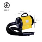 Honden Föhn 2800W, Dieren en Toebehoren, Honden-accessoires, Verzenden, Nieuw