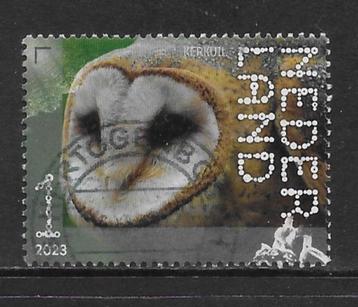 2023, De Wieden, Kerkuil [4117] (K1303) beschikbaar voor biedingen
