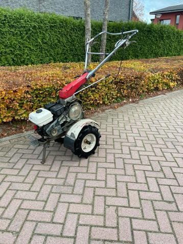 2 wielige tractor / motoculteur/ honda f610 frees beschikbaar voor biedingen