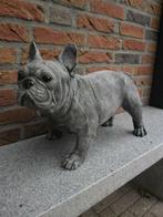 Franse Bulldog, Ophalen, Nieuw, Beton, Dierenbeeld