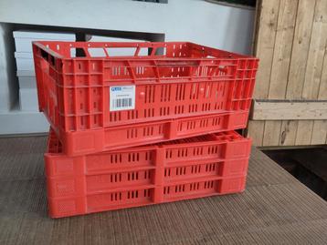Opvouwbare kratten  /  13 beschikbaar  beschikbaar voor biedingen