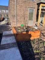 bloembak op maat cortenstaal, Ophalen, Tuin, Minder dan 60 cm, Vierkant