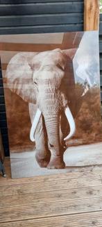 Wanddecoratie Olifant, Ophalen, Zo goed als nieuw