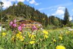 Ons appartement in Oostenrijk te huur!, Vakantie, Vakantiehuizen | Oostenrijk, In bergen of heuvels, Tirol, 2 slaapkamers, Internet