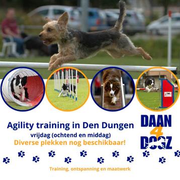 Agility training in Den Dungen beschikbaar voor biedingen