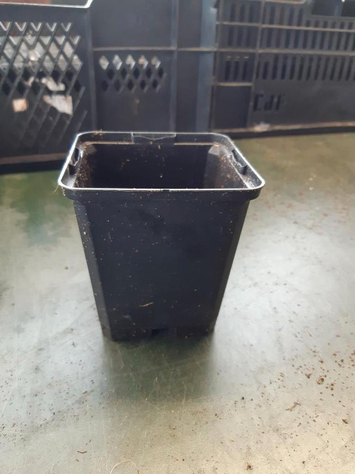 P9 kweekpotjes, Tuin en Terras, Kweekspullen, Gebruikt, Overige typen, Ophalen