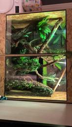terrarium groot   175x80x200 met inhoudt, Dieren en Toebehoren, Ophalen, Zo goed als nieuw, Terrarium of Paludarium