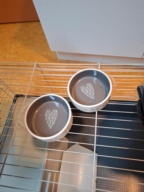 Caviakooi, Dieren en Toebehoren, Knaagdieren en Konijnen | Hokken en Kooien, Ophalen
