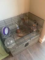 Hamster hok met toebehoren, Dieren en Toebehoren, Knaagdieren en Konijnen | Hokken en Kooien, Minder dan 75 cm, Zo goed als nieuw
