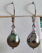 Gouden oorhangers met Tahiti parels en diamanten, Hangers, Nieuw, Ophalen of Verzenden, Met edelsteen
