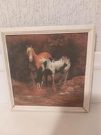 Mooi Schilderij Drinkende Paarden, Ophalen
