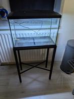 Aquarium, Dieren en Toebehoren, Vissen | Aquaria en Toebehoren, Ophalen of Verzenden, Zo goed als nieuw, Leeg aquarium