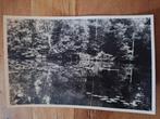 Fotokaart 't Woud, Winterswijk - Italiaanse meren, Ophalen of Verzenden, Ongelopen, Gelderland