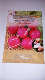 Radijs 'GartenStar' Zaden, Ophalen of Verzenden, Voorjaar, Volle zon, Zaad