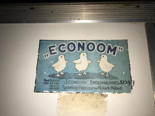 Econoom broedmachine professioneel groot voor broederij, Dieren en Toebehoren, Pluimvee | Toebehoren, Gebruikt, Broedmachine, Ophalen
