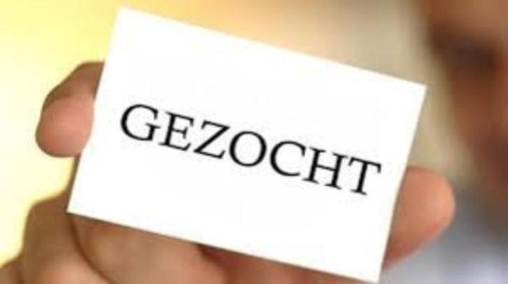 ANTIEK SPEELGOED te koop gevraagd., Antiek en Kunst, Antiek | Speelgoed, Ophalen