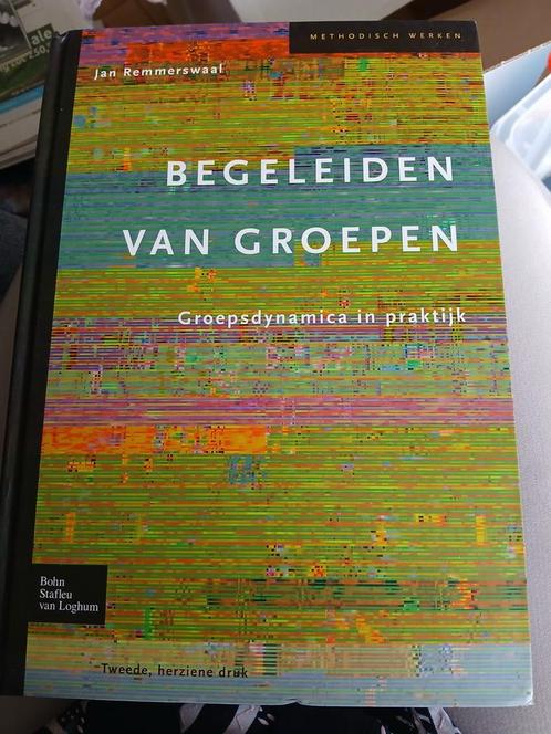 Jan Remmerswaal - Begeleiden van groepen, Boeken, Politiek en Maatschappij, Zo goed als nieuw, Maatschappij en Samenleving, Nederland