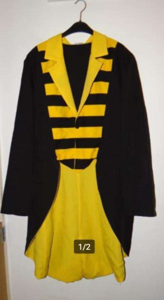 Leuke geel/zwarte BIJ/BIJEN/HOMMEL jas, Kleding | Heren, Carnavalskleding en Feestkleding, Gedragen, Kleding, Carnaval, Overige maten