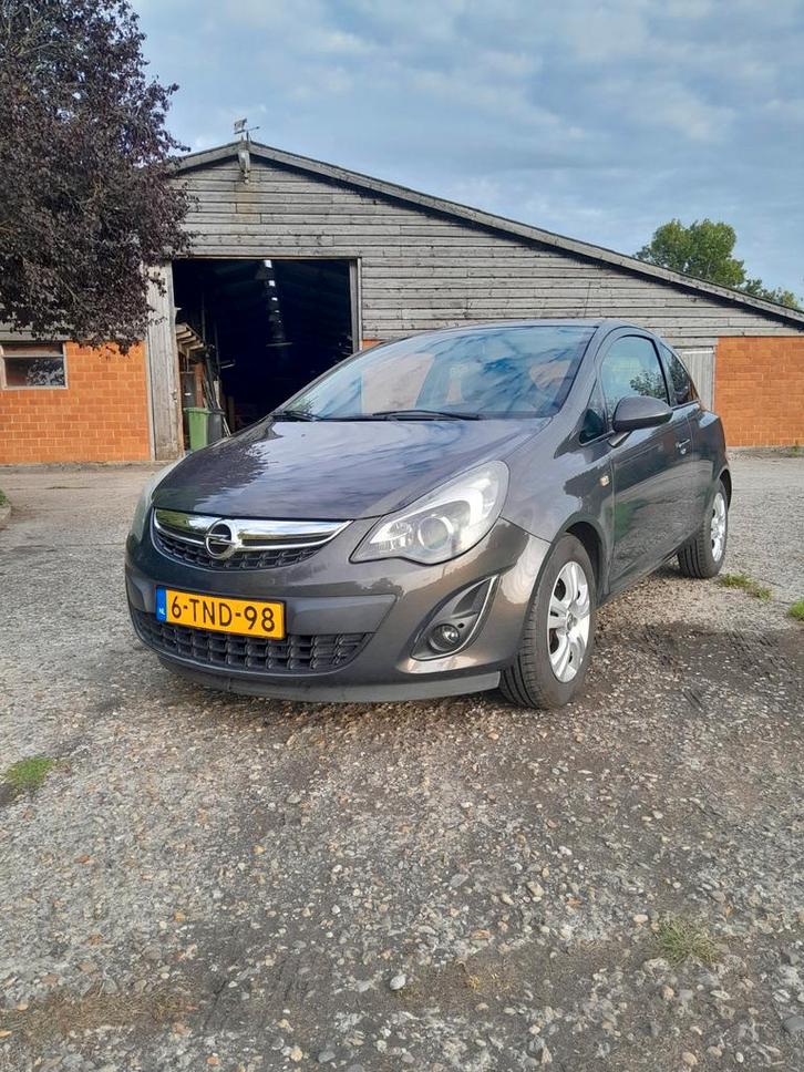 Opel Corsa 1.2 Ecoflex Bi-fuel 83pk 3d 2014 Grijs, Auto's, Opel, Particulier, Corsa, Airconditioning, Bluetooth, Cruise Control
