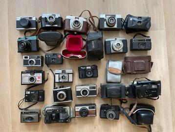 Verzameling Analoge Camera's + Hoezen beschikbaar voor biedingen