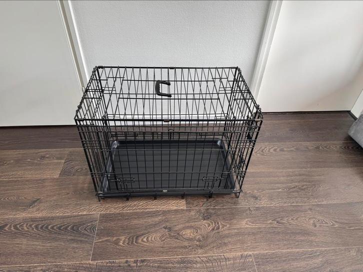 Complete set voor de hond, Dieren en Toebehoren, Honden-accessoires, Zo goed als nieuw, Ophalen