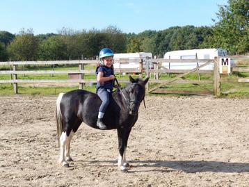 Mooie bonte kinder bixie pony beschikbaar voor biedingen