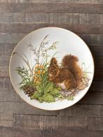 Vintage Royal Schwabap wandbord • Eekhoorn (Ø19 cm), Ophalen, Gebruikt, Porselein of Keramiek, Schaal
