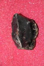 Amber, Ophalen of Verzenden, Fossiel