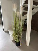 Kunstplant Livarno Neptune - Nieuwstaat!, Ophalen, Zo goed als nieuw, Binnen