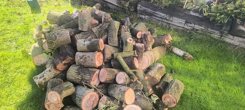 ‼️Brandhout - Stookhout - draaibank hout ‼️, Overige materialen, Gebruikt, Bruin, Overige typen