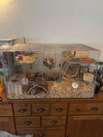Hamsterkooi exclusief inhoud, Dieren en Toebehoren, Ophalen, Kooi, Gebruikt, 60 tot 90 cm