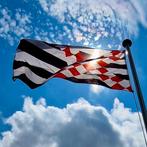 Loosdrechtse vlaggen | SVL | Vlag Loosdrecht | 1231 |, Ophalen of Verzenden, Nieuw