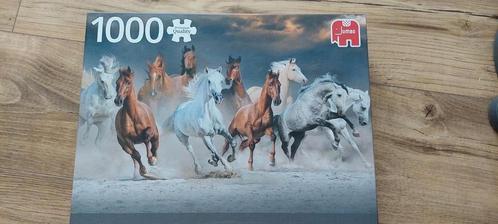 Puzzel 1000 st jumbo zgan zeer mooi, Hobby en Vrije tijd, Denksport en Puzzels, Zo goed als nieuw, Legpuzzel, 500 t/m 1500 stukjes