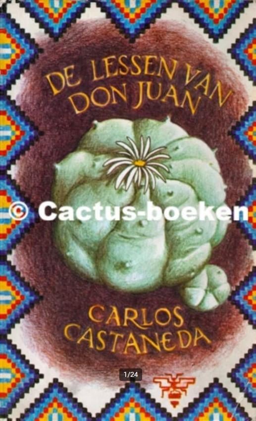 Carlos Castaneda boeken - Nederlands, Engels, Duits, Spaans, Boeken, Ophalen of Verzenden, Zo goed als nieuw, Spiritualiteit algemeen