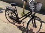 Sparta Tyros V7 H 56 cm, Ophalen, Zo goed als nieuw