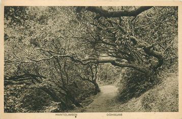 (701-042-041) Domburg Mantelingen beschikbaar voor biedingen