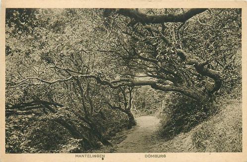 (701-042-041) Domburg Mantelingen, Verzamelen, Ansichtkaarten | Nederland, Zeeland, Verzenden