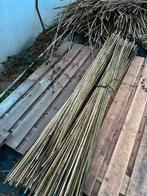 Bamboe stokken 200 cm lang, Ophalen, Zo goed als nieuw, 250 cm of meer, Palen