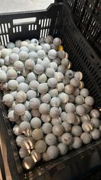 100 Stuks Titleist Pro V1/x Golfballen, Sport en Fitness, Golf, Ophalen of Verzenden, Nieuw, Bal(len)
