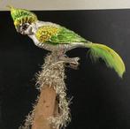 Super mooie nostalgische vogel kaketoe, Ophalen of Verzenden
