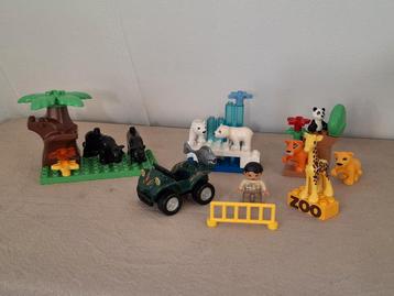 Lego Duplo Dierentuin Set beschikbaar voor biedingen