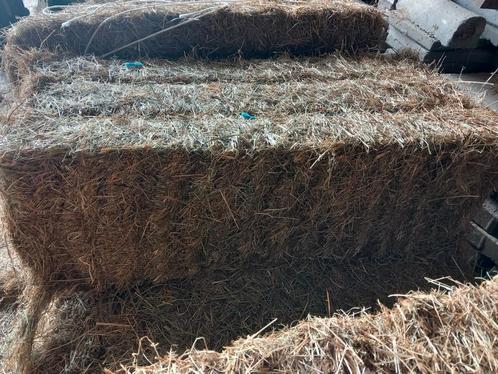 Hooipakjes met heel laag suikergehalte
Analyse zie foto's, Dieren en Toebehoren, Dierenvoeding, Vee, Ophalen
