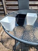 Glazen vaasjes/ bloempotjes, Ophalen, Gebruikt, Overige kleuren, Glas