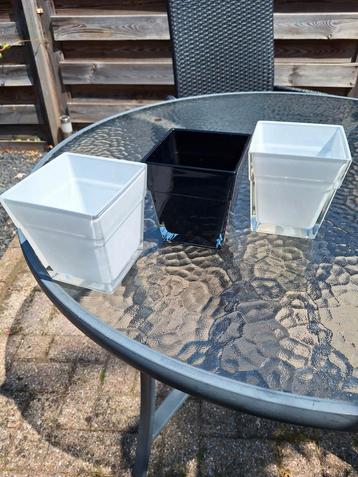 Glazen vaasjes/ bloempotjes beschikbaar voor biedingen
