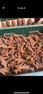 Hekwerk materiaal, 30 lengtes a 6 meter, Ophalen of Verzenden