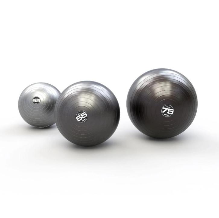 Escape SteadyBalls - Gymball - 55cm - 65cm - 75cm, Sport en Fitness, Fitnessmaterialen, Nieuw, Fitnessbal, Armen, Benen, Borst