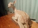 taxidermie damhertje, Verzamelen, Dierenverzamelingen, Ophalen of Verzenden, Zo goed als nieuw, Hert, Opgezet dier