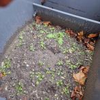 Grond, Tuinaarde/ Plantengrond, Ophalen of Verzenden, Tuinaarde